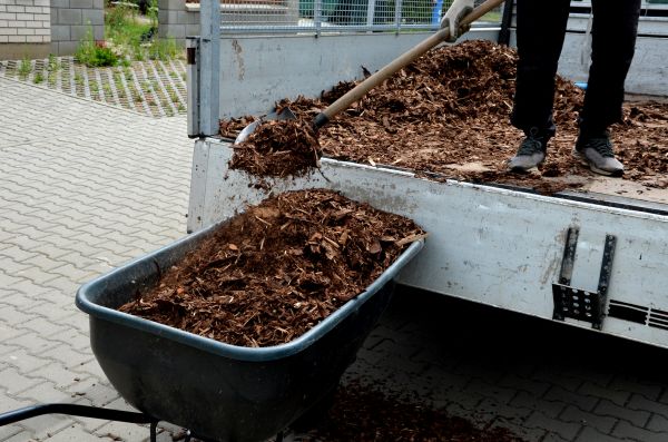 Cypress Mulch Delivery