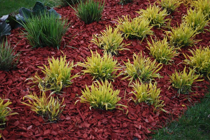 Landscape with fresh red mulch